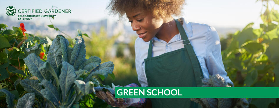 Colorado State University Extension - Gardening Resources